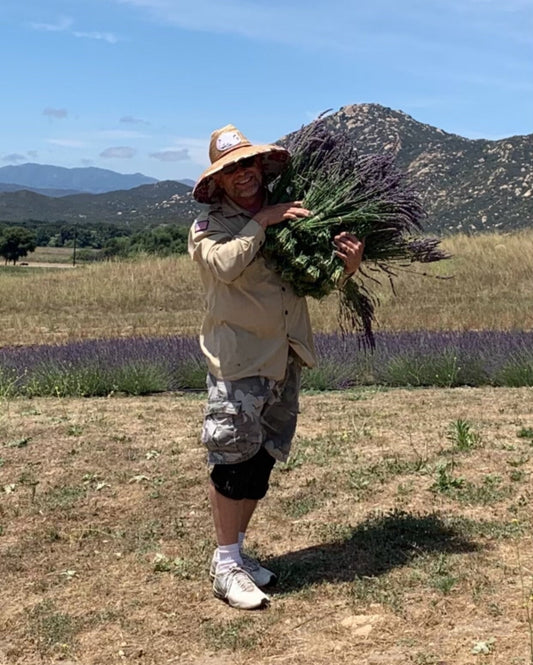 Lavender Oil Roll On Applicator-1oz FREE SHIPPING