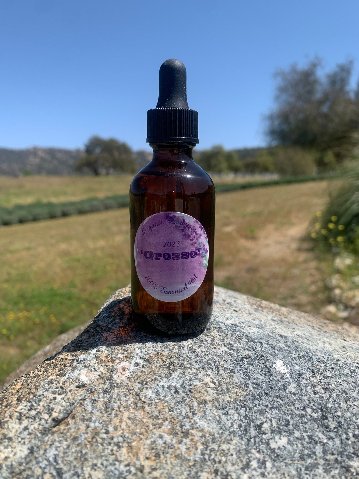 Lavender Essential Oil - 2 ounces of Grosso 100% Pure Lavender Oil