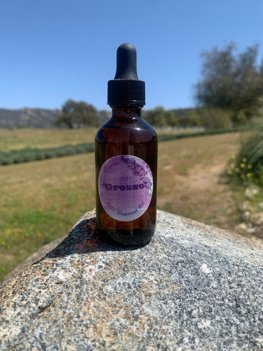 Lavender Essential Oil - 2 ounces of Grosso 100% Pure Lavender Oil