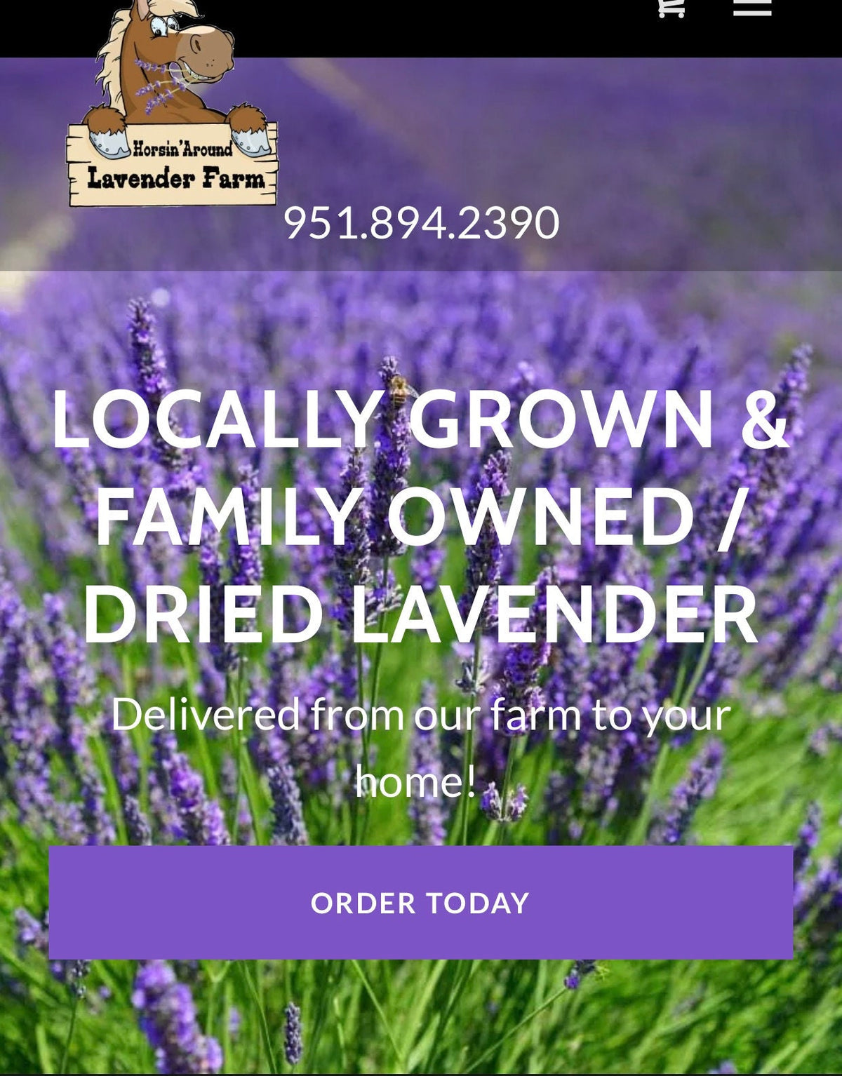 Lavender Hydrosol Spray 4 ounces. 100% Pure Lavender Hydrosol  FREE SHIPPING