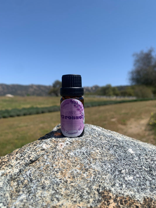 Lavender Essential Oil - 10 milliliters of Grosso 100% Pure Lavender Oil
