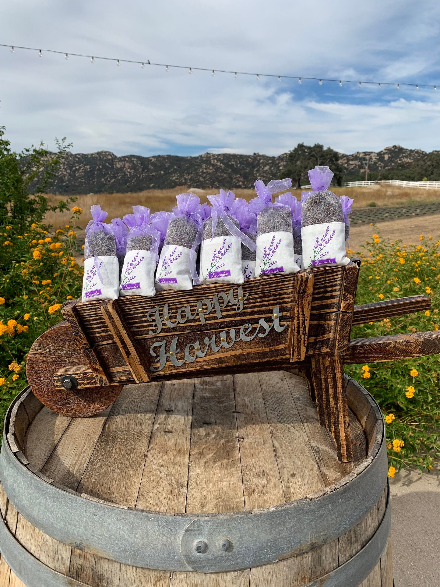 Beautiful and Fragrant Dried Grosso Lavender Bundles/Free Shipping in the US