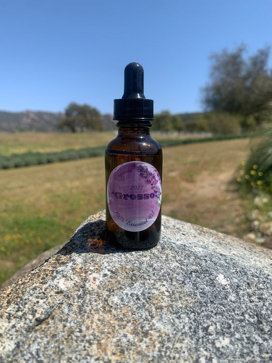 Lavender Essential Oil - 1 ounces of Grosso 100% Pure Lavender Oil
